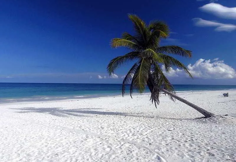 Jade Tulum location